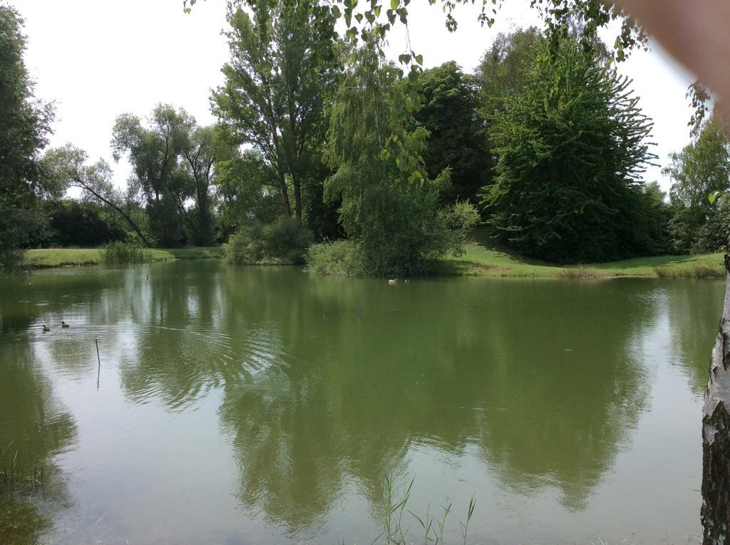Camping Du Ried Boofzheim Esterno foto